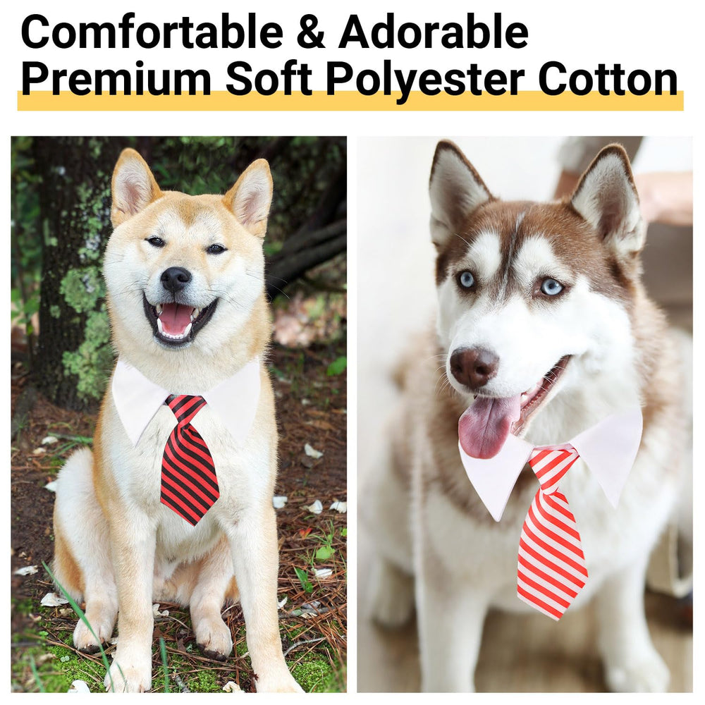 Segarty dog tie medium on-dog wearing demonstrates a dapper look for photos and events