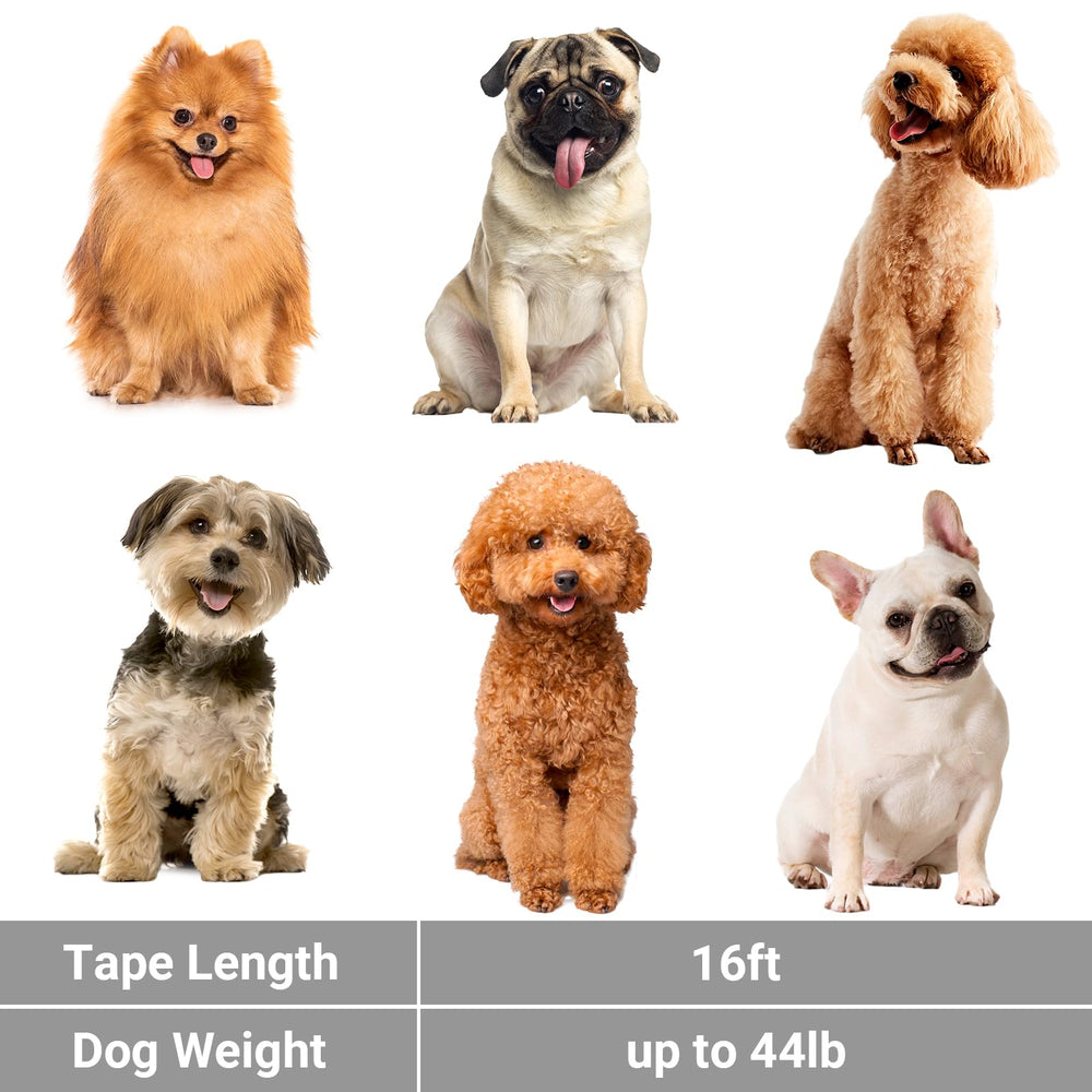 Segarty durable nylon tape leash built for daily outdoor adventures.
