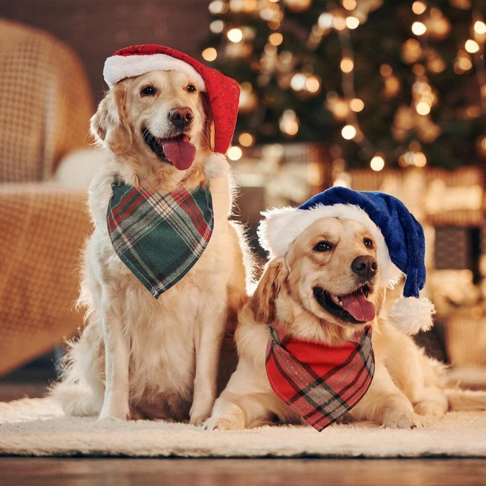 Segarty grooming-ready kerchief adds stylish touch during grooming sessions