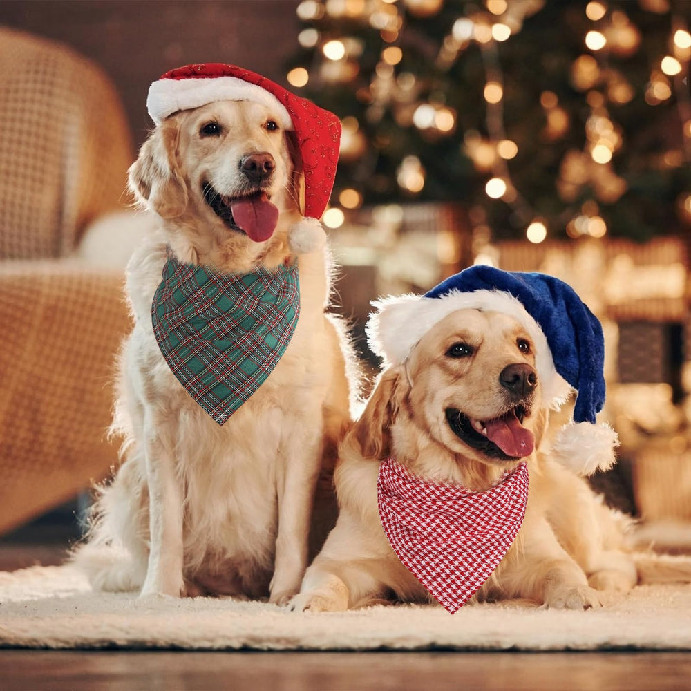 Segarty pet scarf showcased in a photoshoot with vibrant plaid patterns.