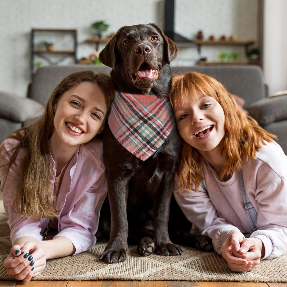 Segarty plaid dog scarf ideal for photos, holidays, and gifting