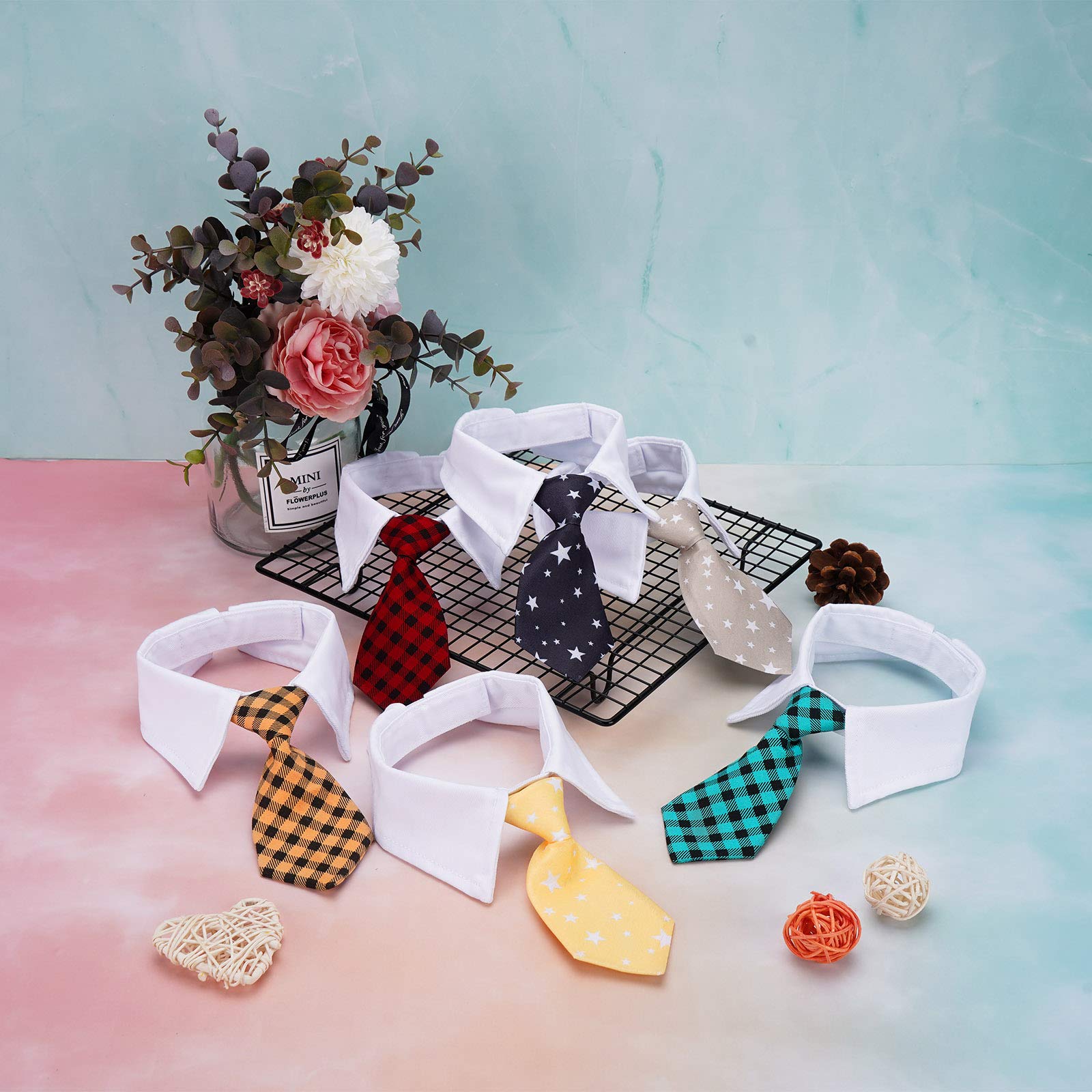 Segarty small dog tie lifestyle shot demonstrates versatile costumes for daily fun