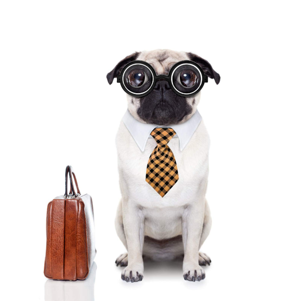 Segarty small dog tie holiday wear inspires festive looks for Christmas or birthdays
