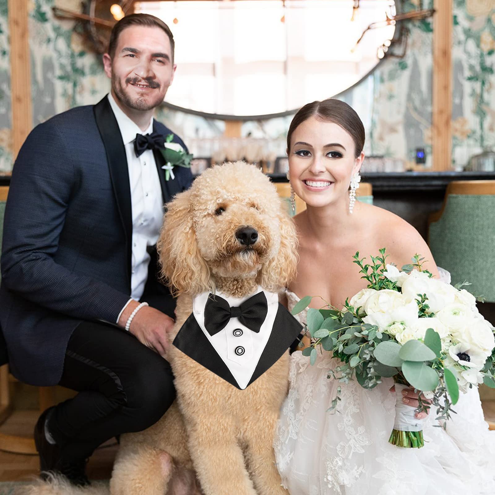 Segarty wedding ringbearer-ready dog in tuxedo.