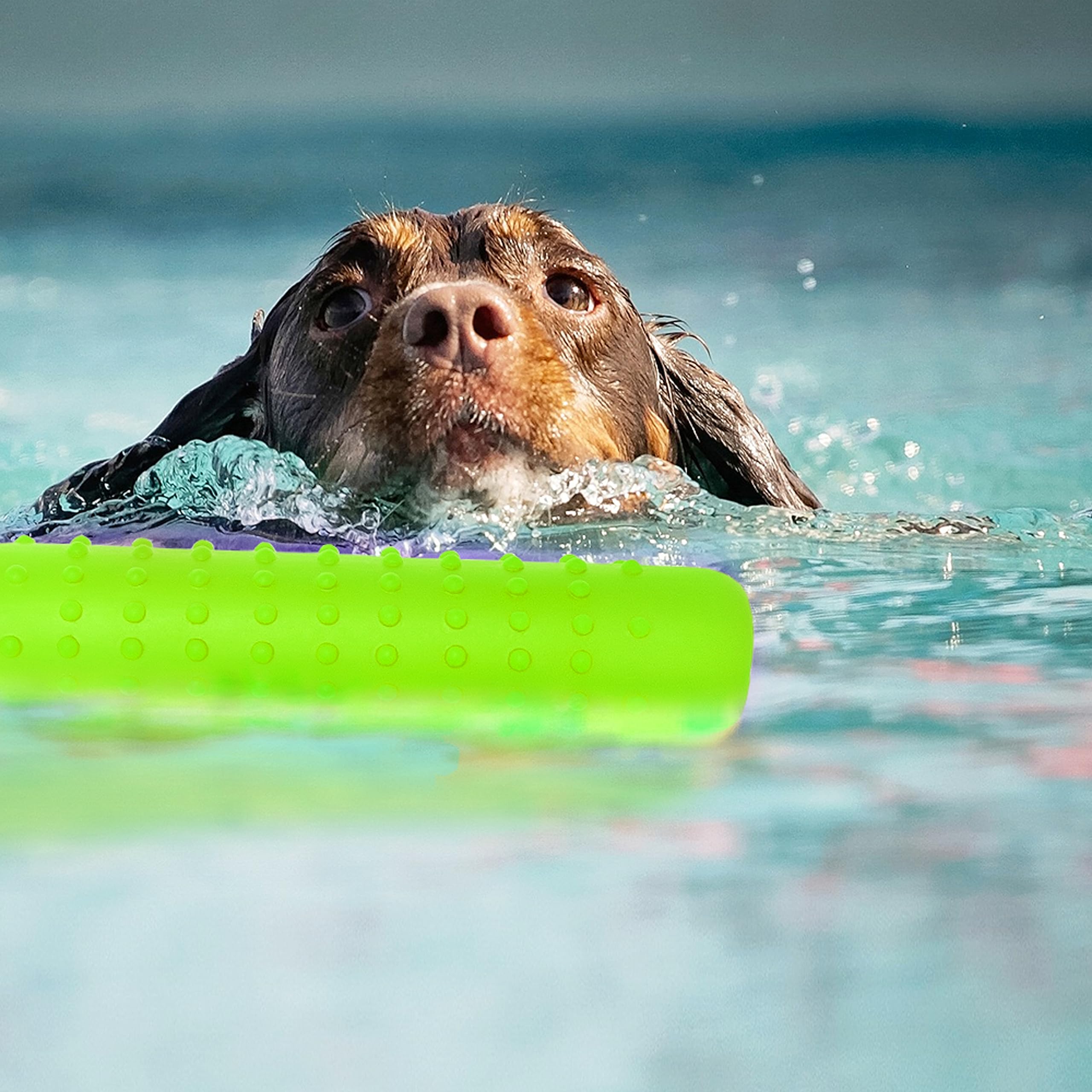 Segzwlor Dog Float Toy features lightweight design for easy throws