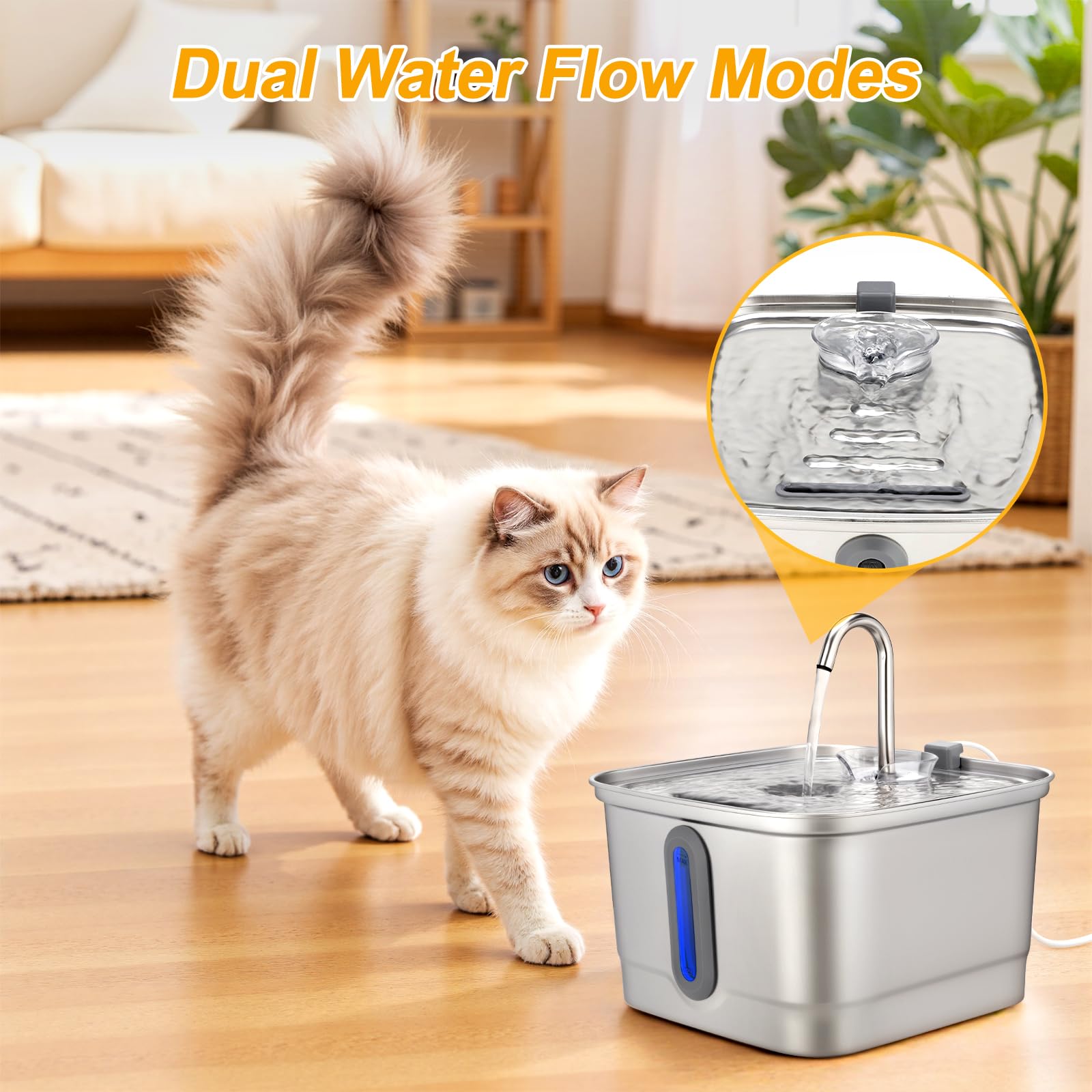 SEIRMEP advanced filter system reduces odors for cleaner water.