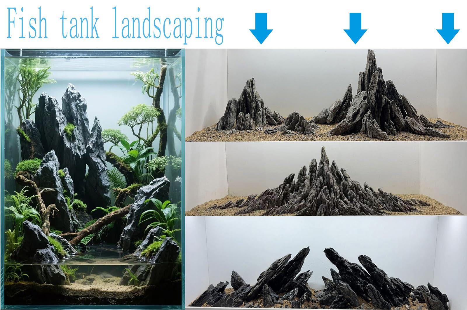 Seiryu Dragon Stone 11lb aquascape caves provide depth and climbing opportunities.