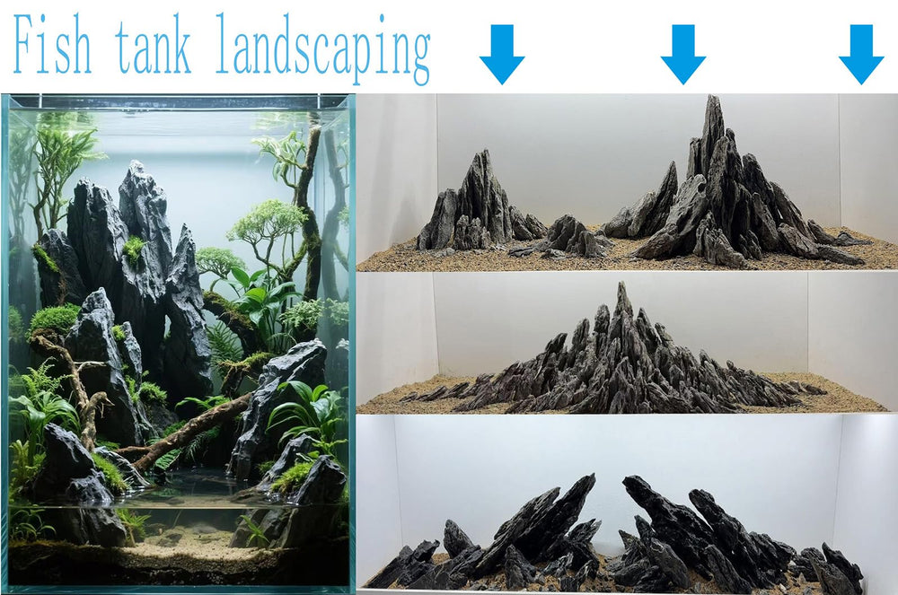 Seiryu Dragon Stone 11lb aquascape caves provide depth and climbing opportunities.