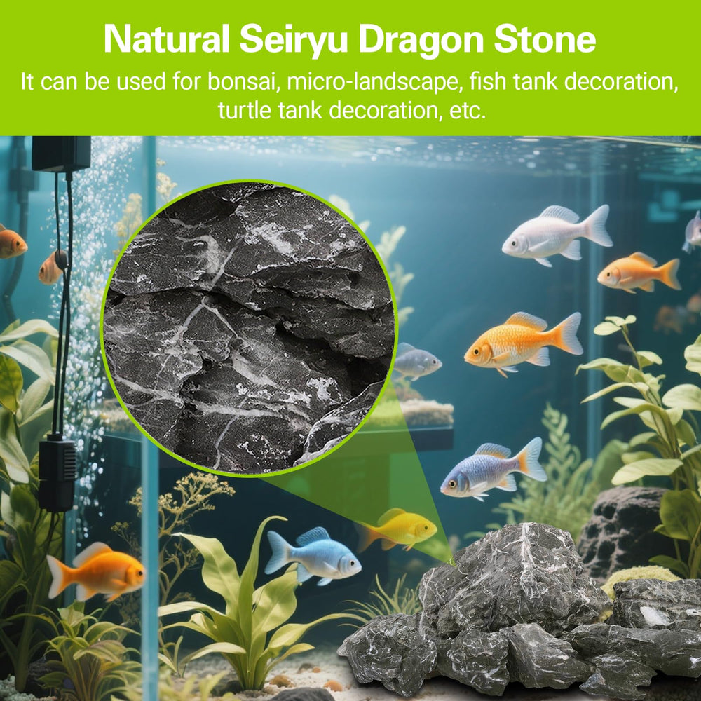 Seiryu Dragon Stone 11lb dry dark-gray rock with white veins as focal accent.