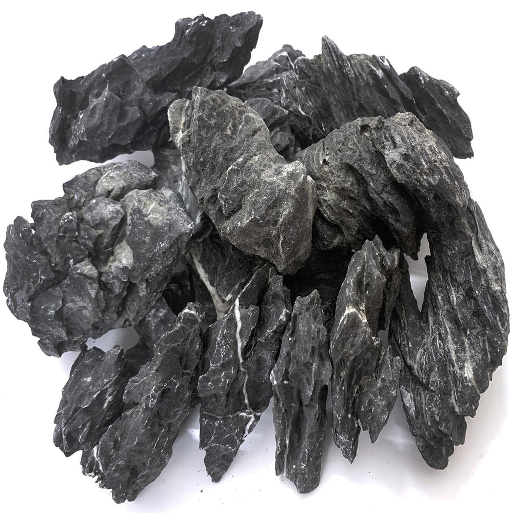 Seiryu Dragon Stone 11lb front view showcases dramatic texture for aquascape depth.
