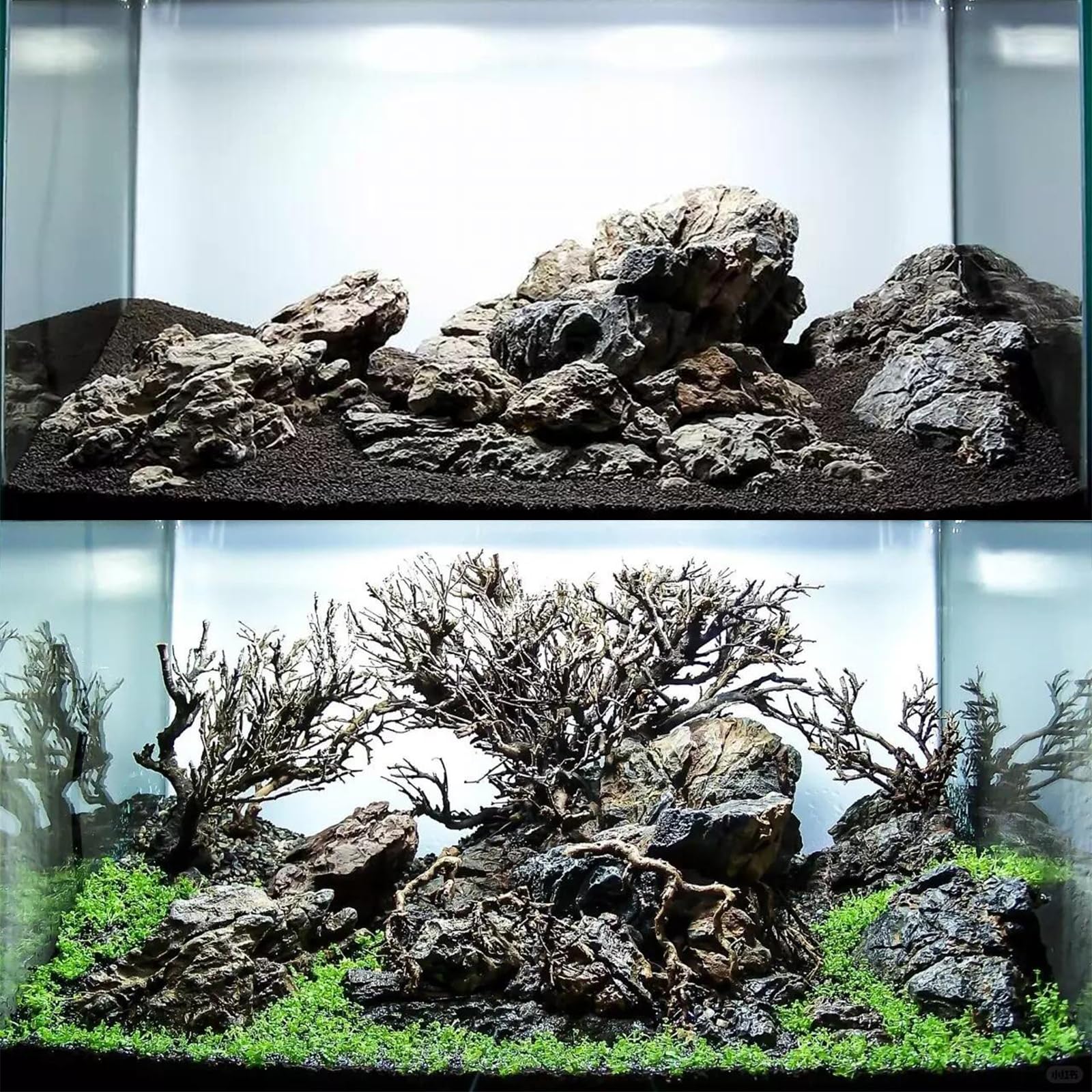 Seiryu Dragon Stone 11lb porous surface supports beneficial bacteria and clearer water.