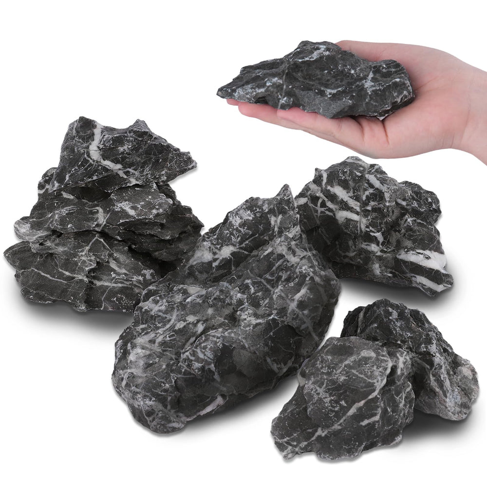 Seiryu Dragon Stone 11lb rough texture close-up highlights rugged realism for terrariums.
