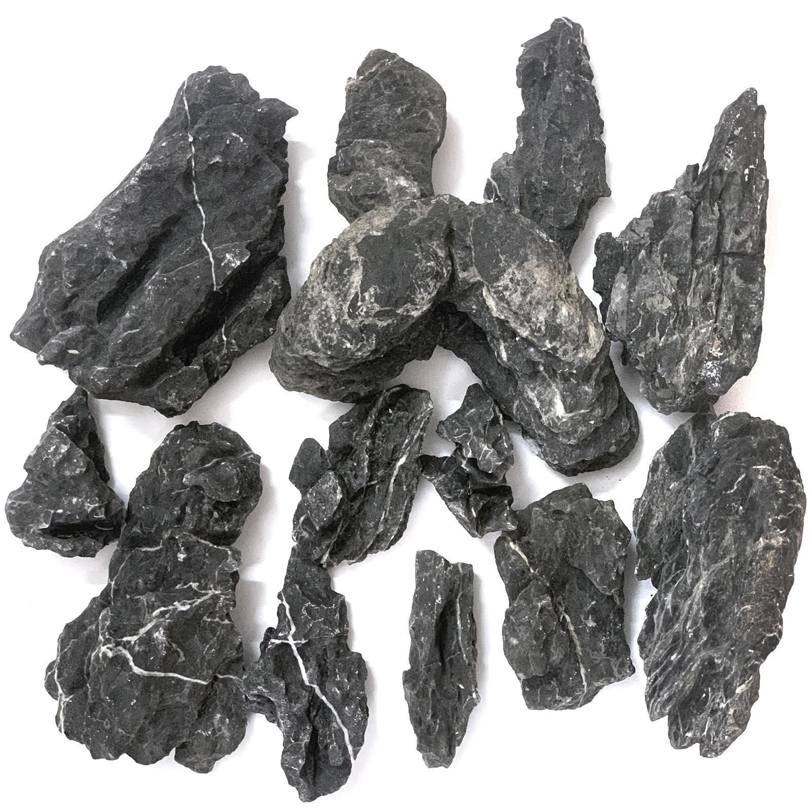 Seiryu Dragon Stone 11lb side-sculpted formation creates natural caves for hiding spots.