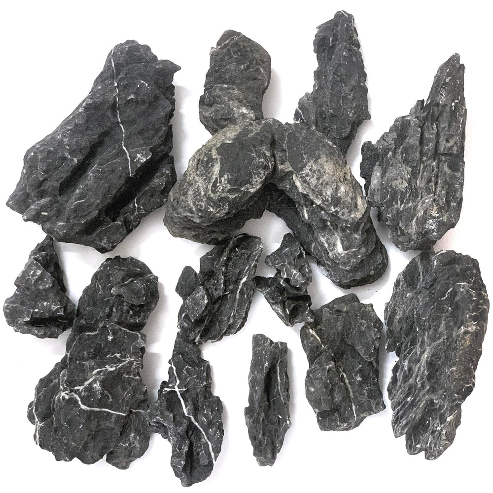 Seiryu Dragon Stone 11lb side-sculpted formation creates natural caves for hiding spots.