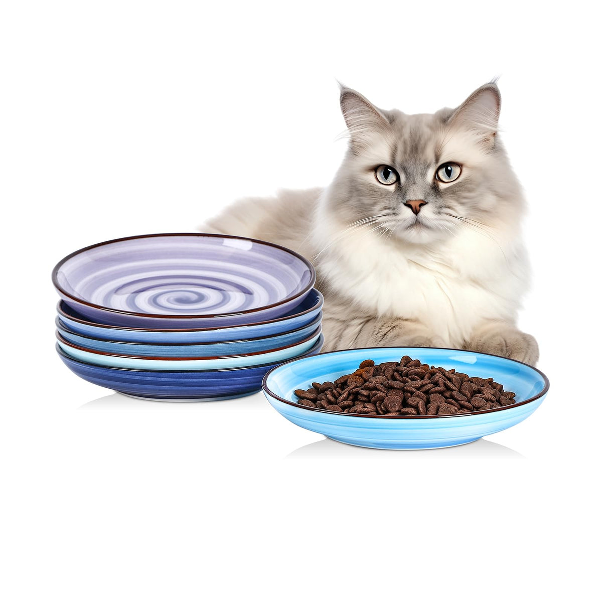 Selamica ceramic cat bowls gradient blue set6 shown for daily feeding