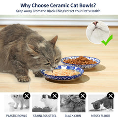 Selamica sturdy ceramic bowls with weighted base help prevent spills.