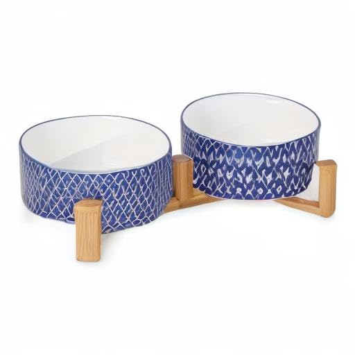 Selamica two-pack pet dining set suits small and medium pets.