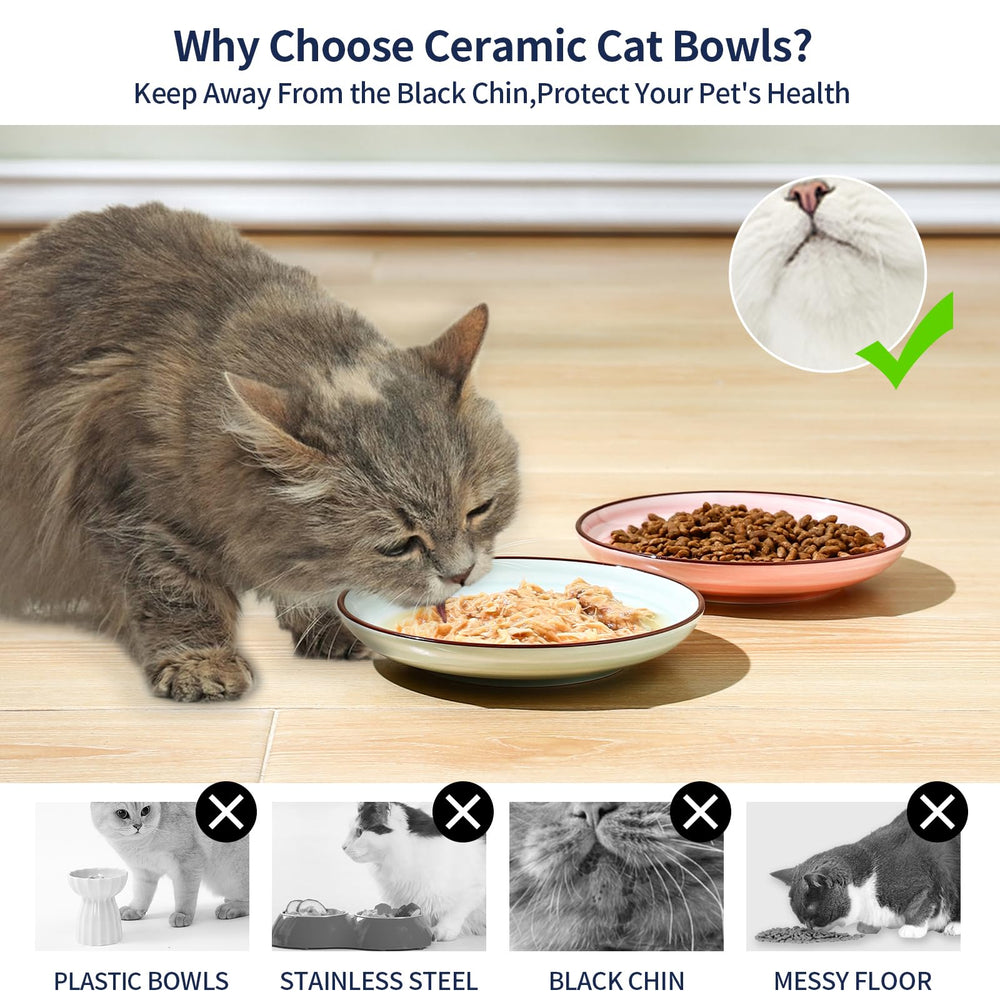 Selamica vibrant swirl designs brighten feeding time for pets.