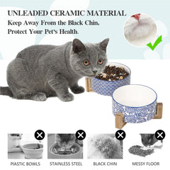 Selamica wide-mouth ceramic bowls support easy feeding.