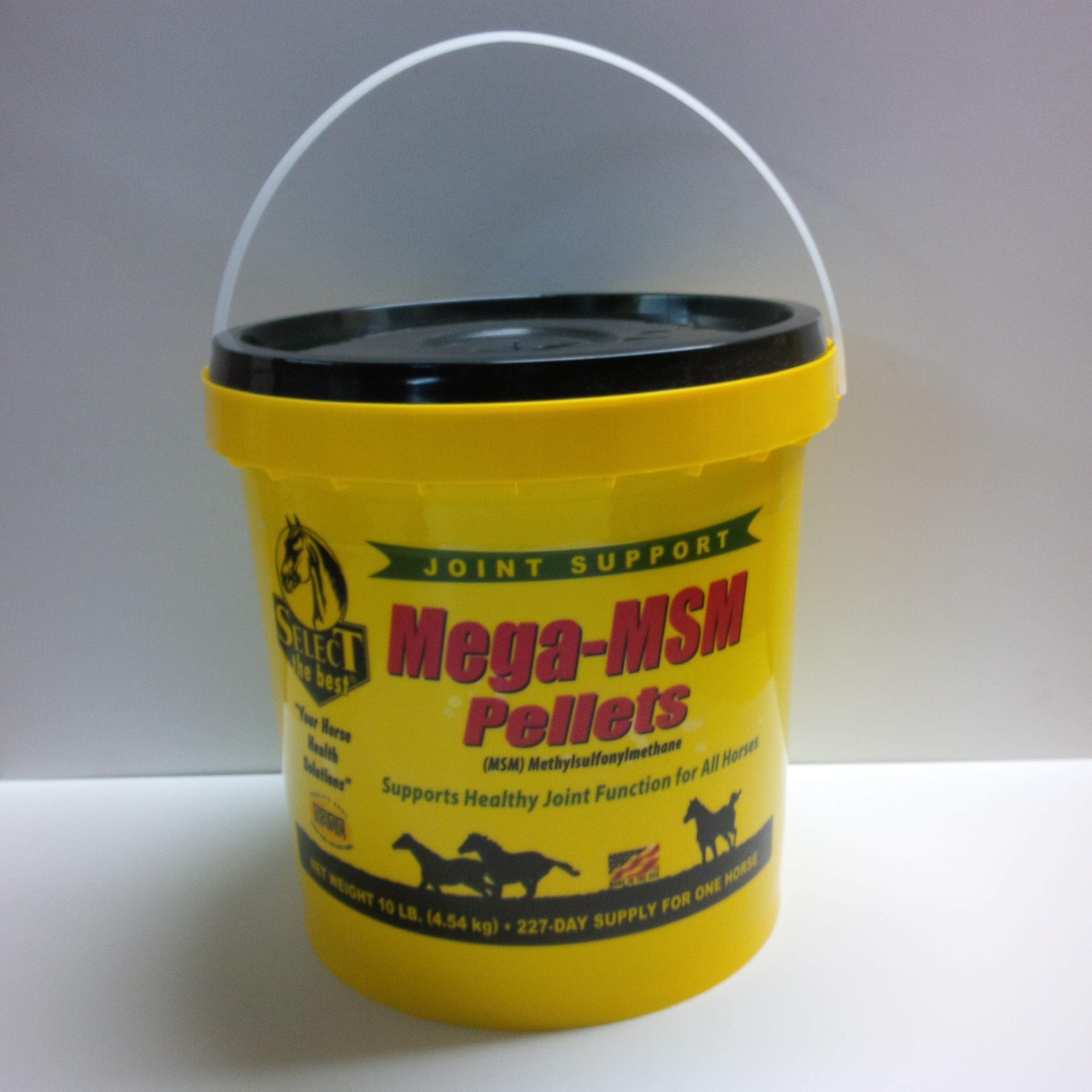 Select The Best Mega-MSM Pellets poured into a feeder for easy daily use.
