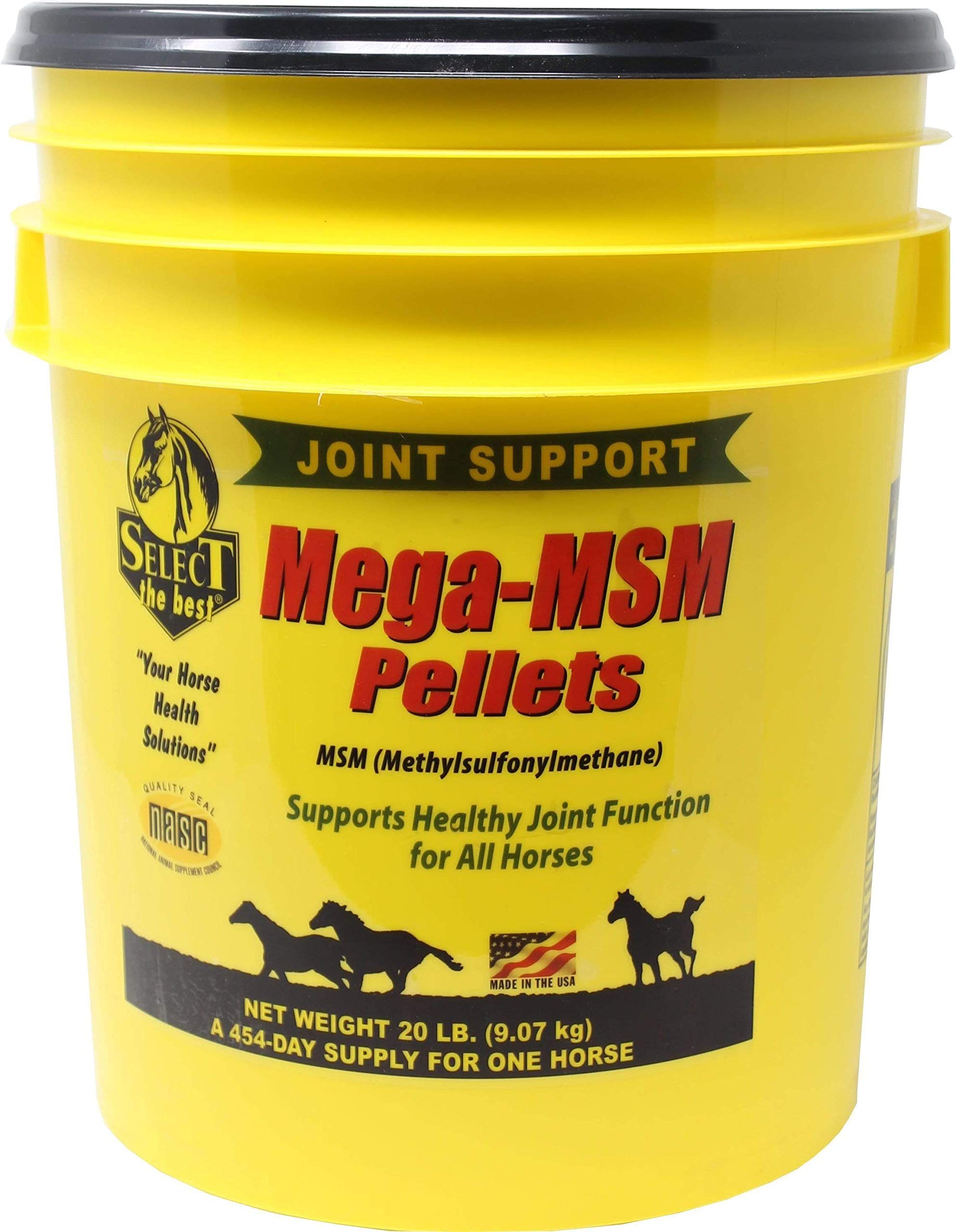 Select The Best Mega-MSM Pellets 20 lb bag—easy-dosing, cost-effective joint support.