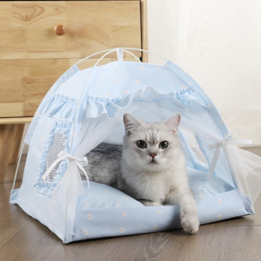 Selena cat bed tent blue demonstrates indoor and outdoor versatility for cozy naps.
