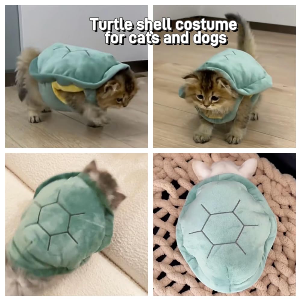 Selena kawaii pet costume closeup turtle shell highlighting lightweight comfort