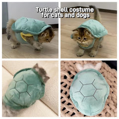 Selena kawaii pet costume closeup turtle shell highlighting lightweight comfort