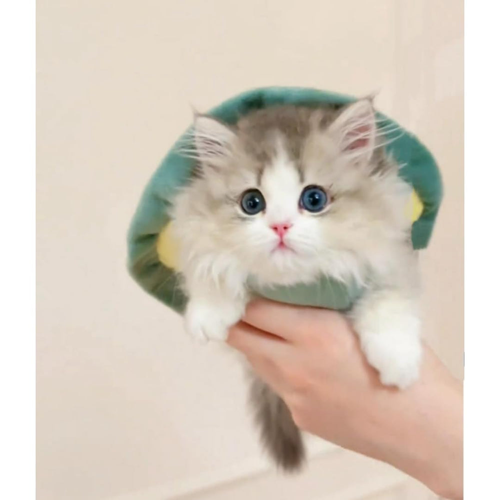 Selena stand-out costume for pets, perfect for parties.