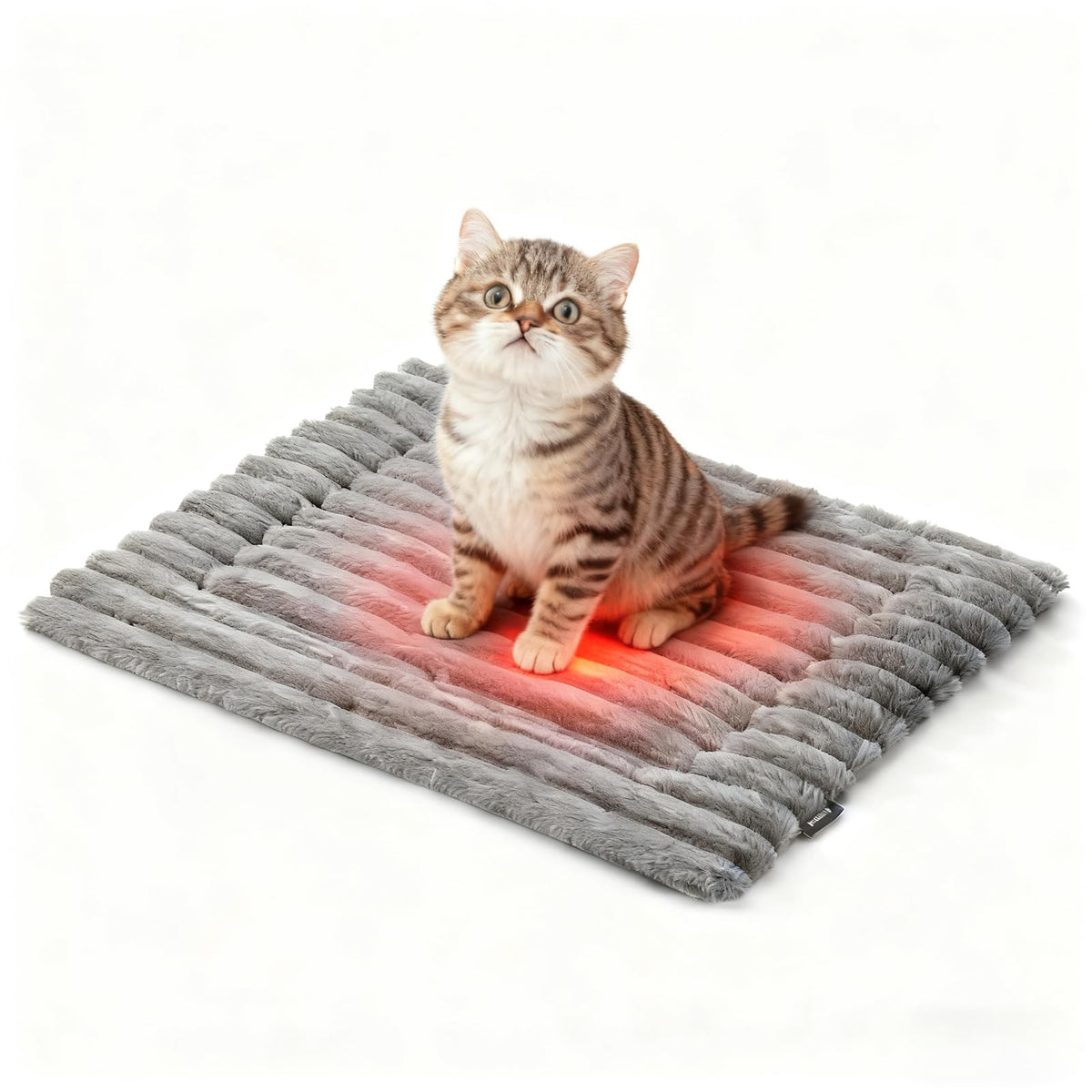 Self-Warming Cat Bed full view highlights cozy, energy-free warmth for indoor naps.