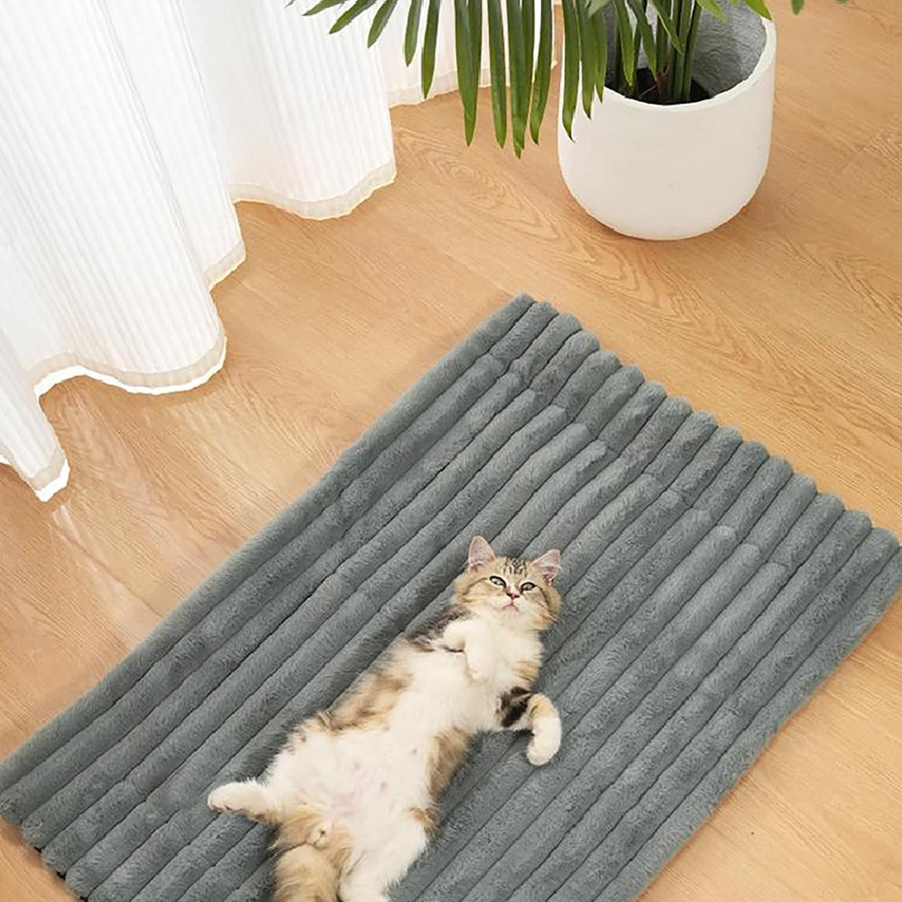 Self-Warming Cat Bed in crate setup offers a warm retreat during crate time.