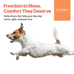 Selly’s Den dog enjoys chew showcases tasty daily supplement for active dogs.
