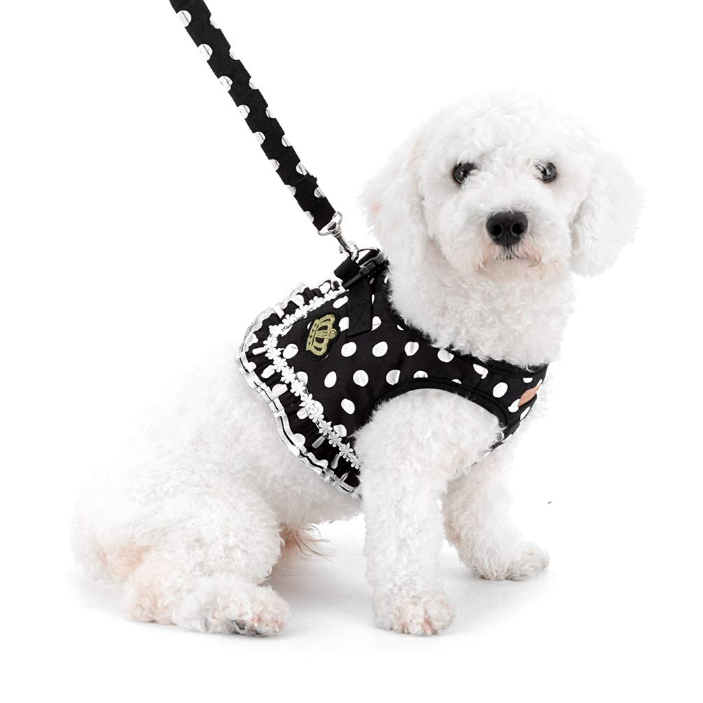 SELMAI no-pull design aids smoother control during walks.