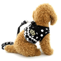 SELMAI puppy leash set close-up shows secure clip for daily walks.