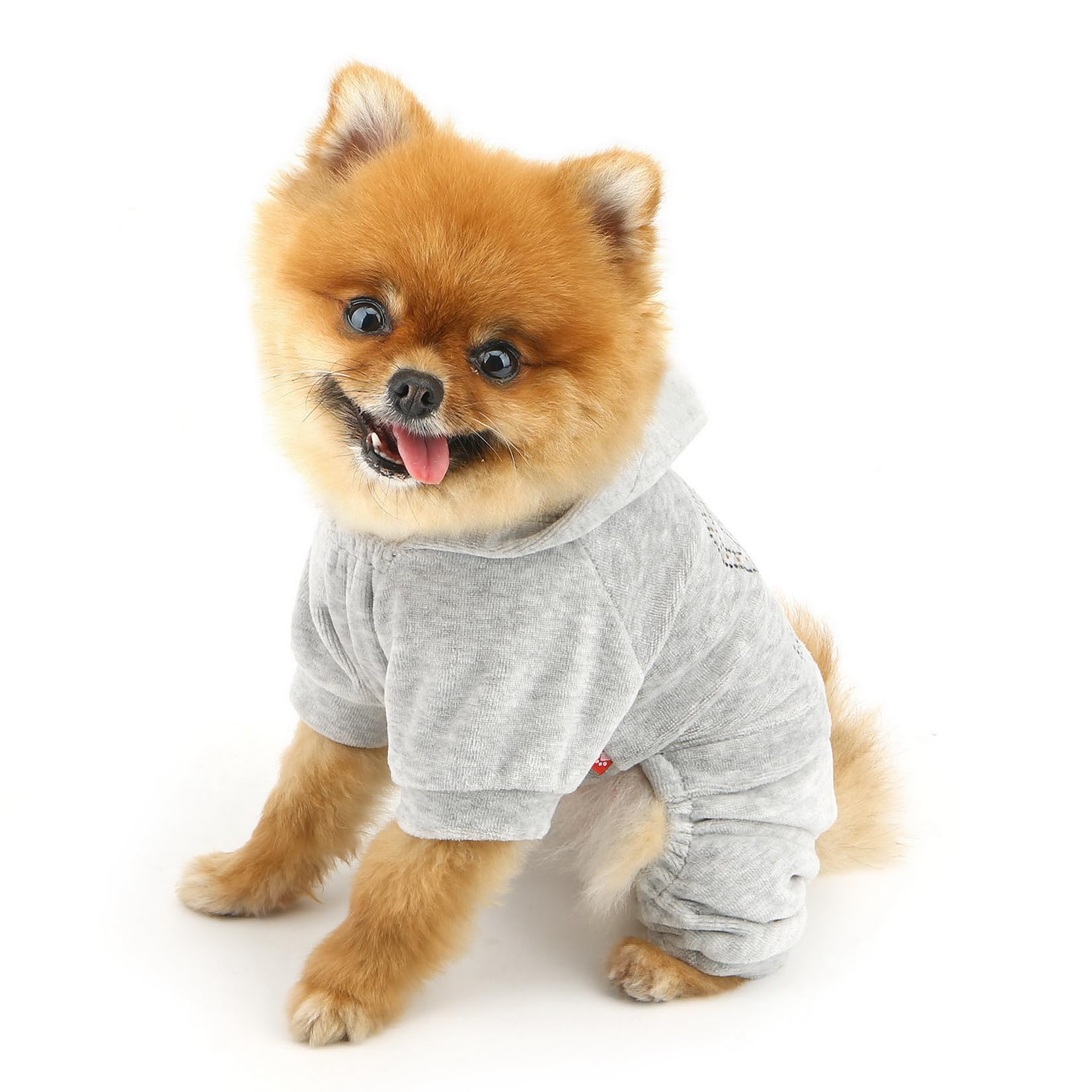 SELMAI size-chart guides finding the right fit for tiny breeds.