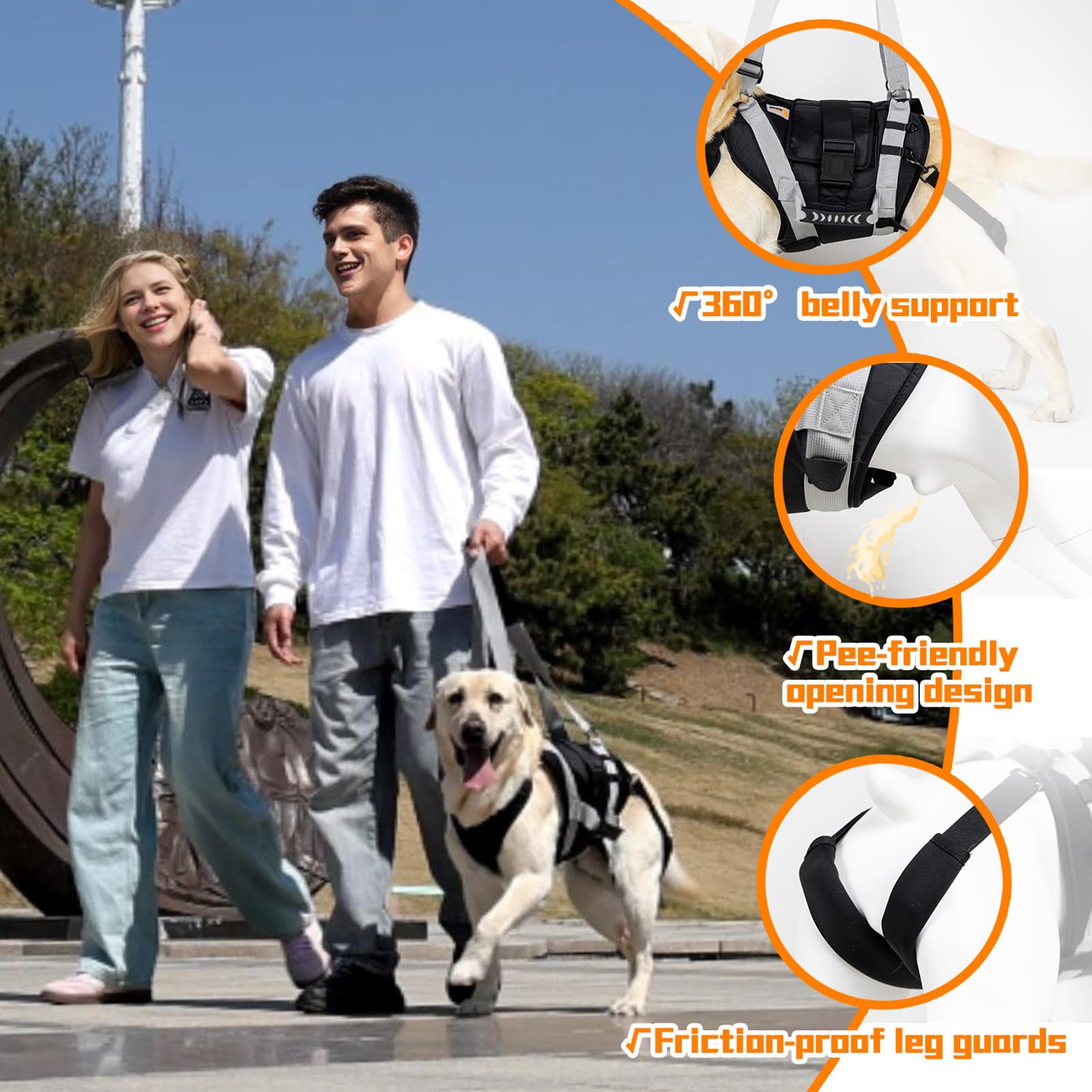 Senior Budday dog lift harness anti-slip neck strap demonstrates secure, escape-proof design.