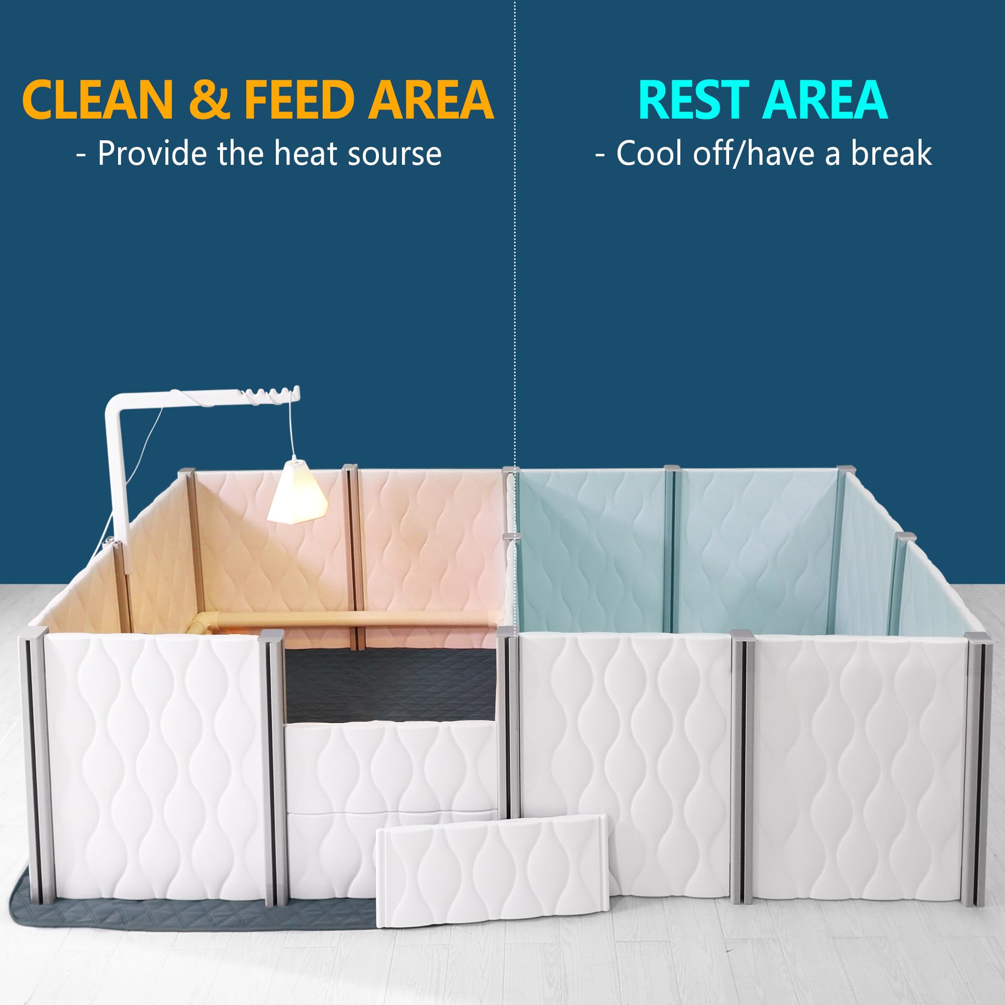 Senneny whelping box interior two-rooms layout supports efficient pup care.