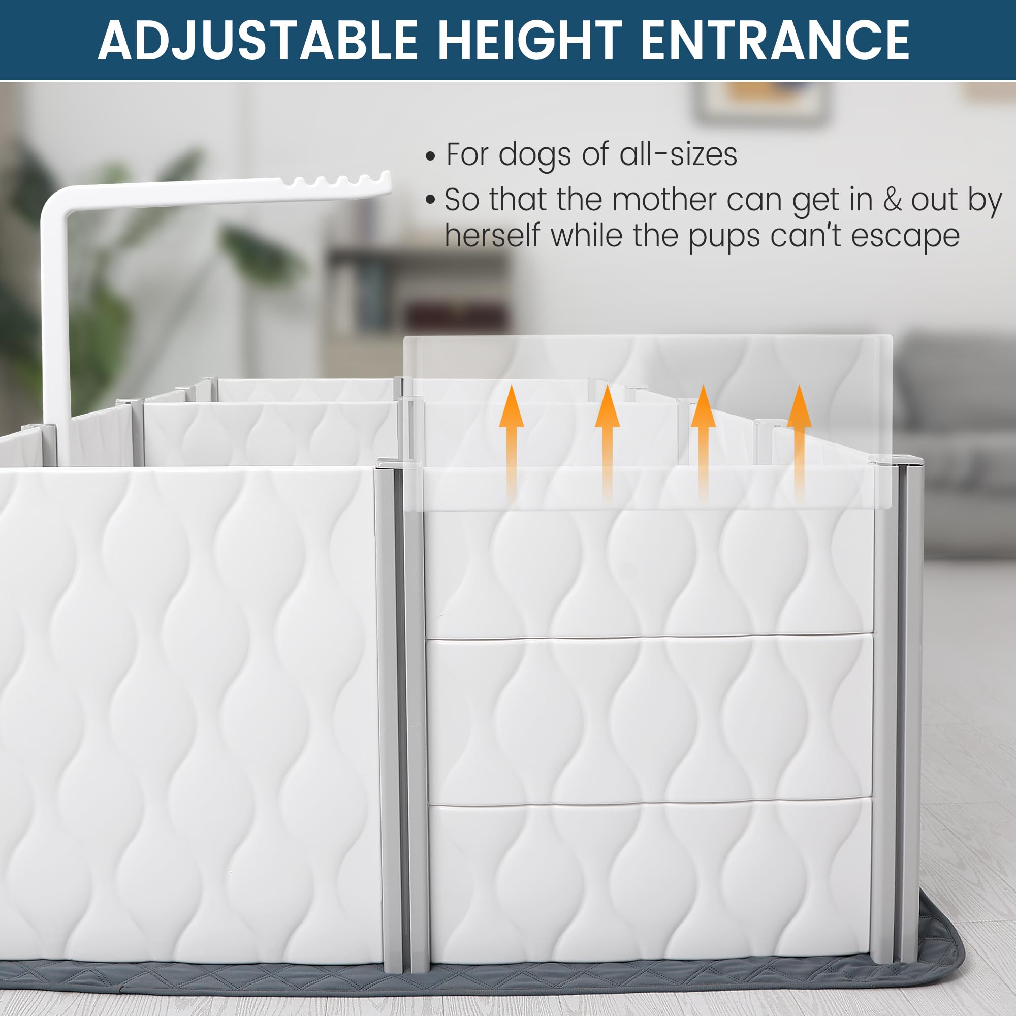 Senneny whelping box washable whelping pad ensures easy cleanup.