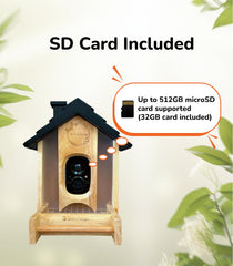 Sensforge Bird Feeder Camera 2.5K HD Live View captures feeder visits in detail.