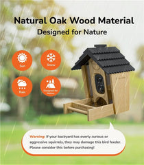 Sensforge AI recognition interface identifies bird species at the feeder in real time.