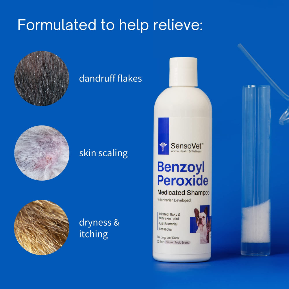 SensoVet shampoo application on a cat showing gentle chin acne support.
