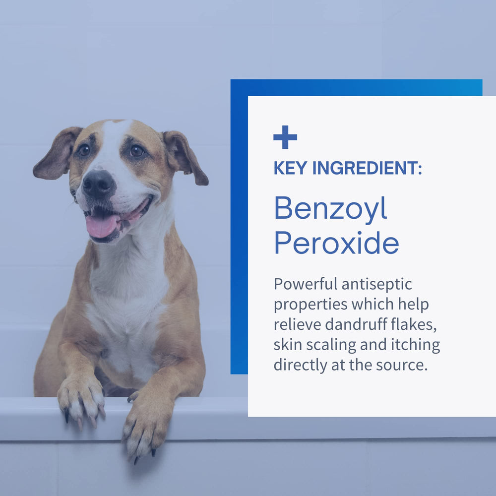 SensoVet close-up highlighting reduced flakiness with benzoyl peroxide shampoo.