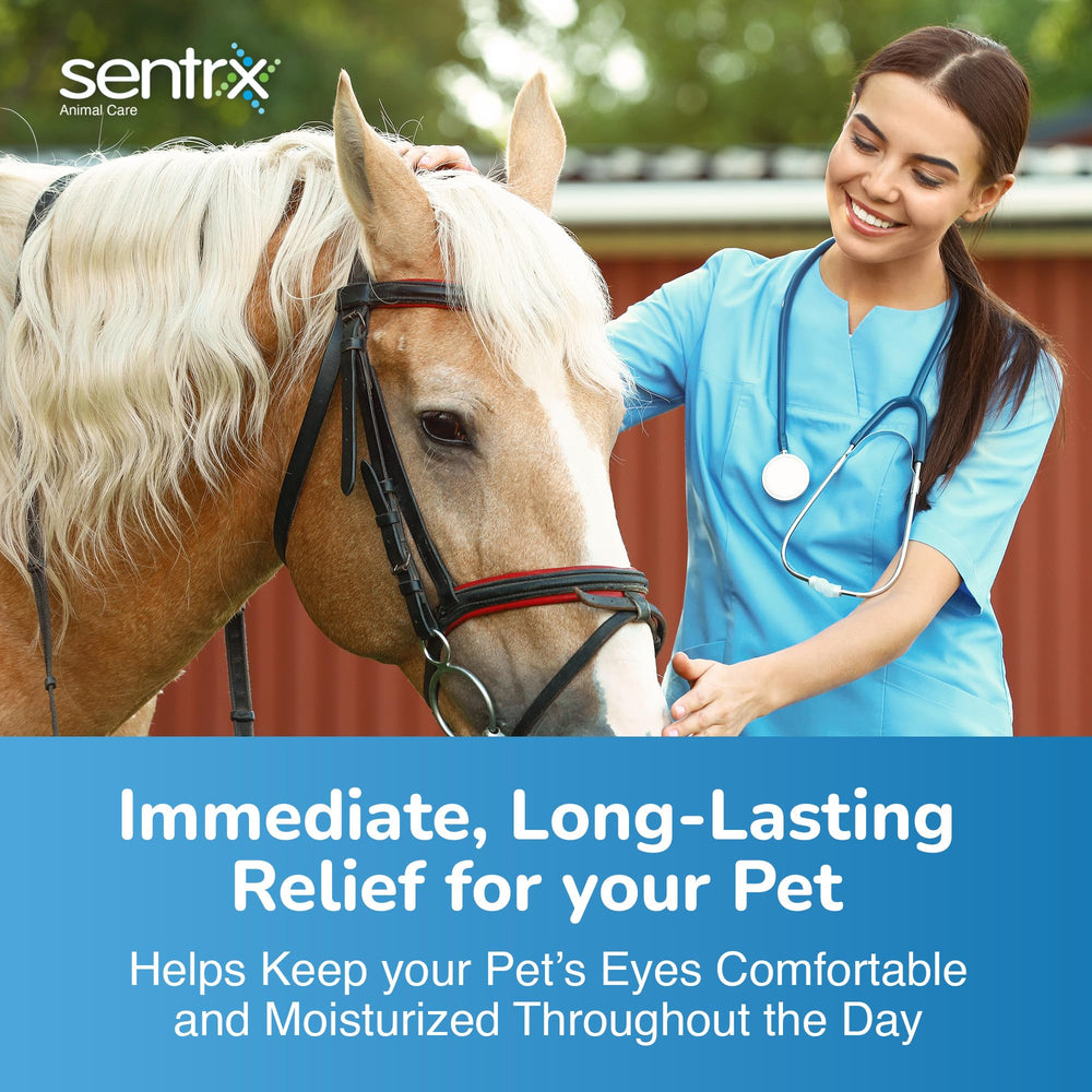 Sentrx Eye Lube Pro dog usage demonstrates gentle application for dry eyes.