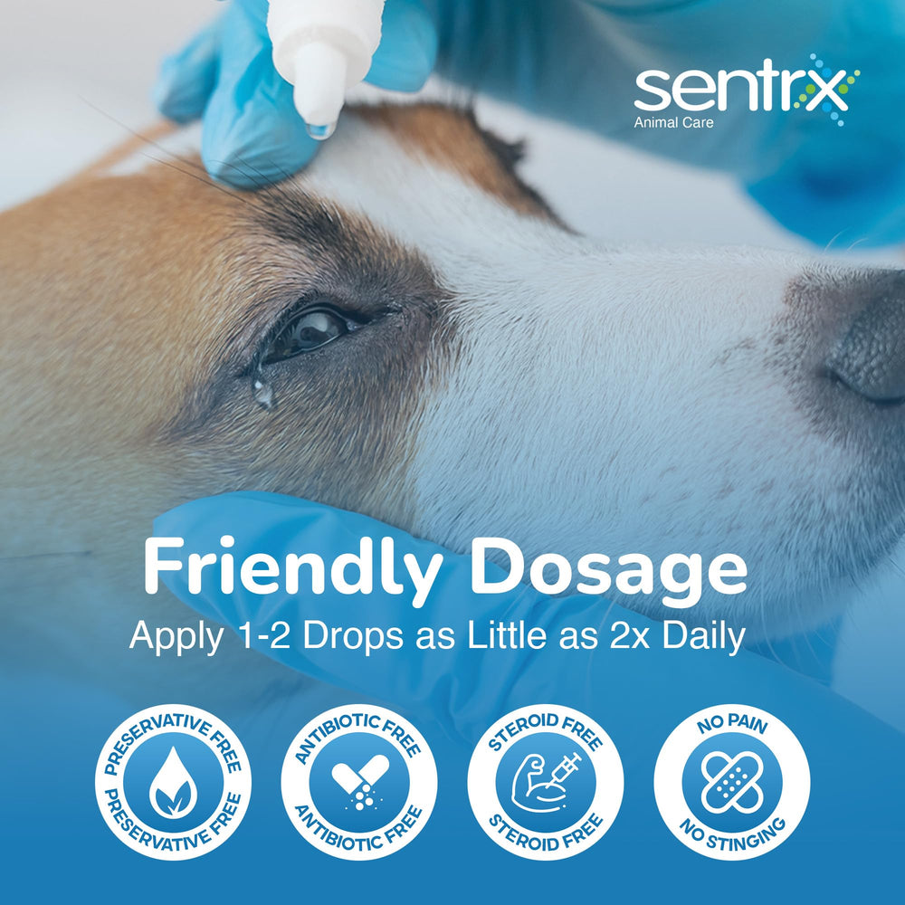 Sentrx Eye Lube Pro cat usage highlights easy application and comfort.