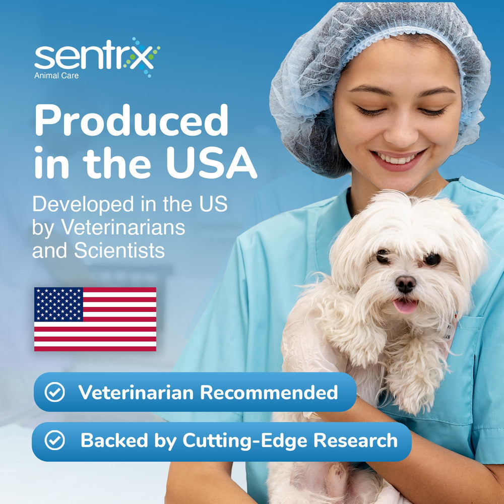 Sentrx Eye Lube Pro 20g packaging illustrates travel-friendly size.