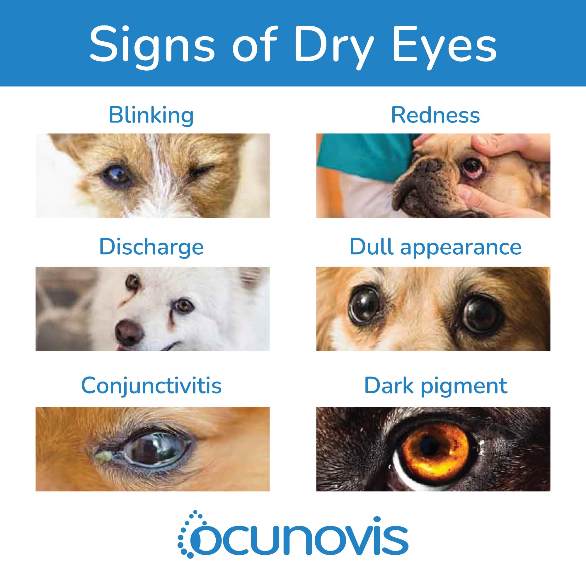 Sentrx Ocunovis designed for easy twice daily application by pet owners