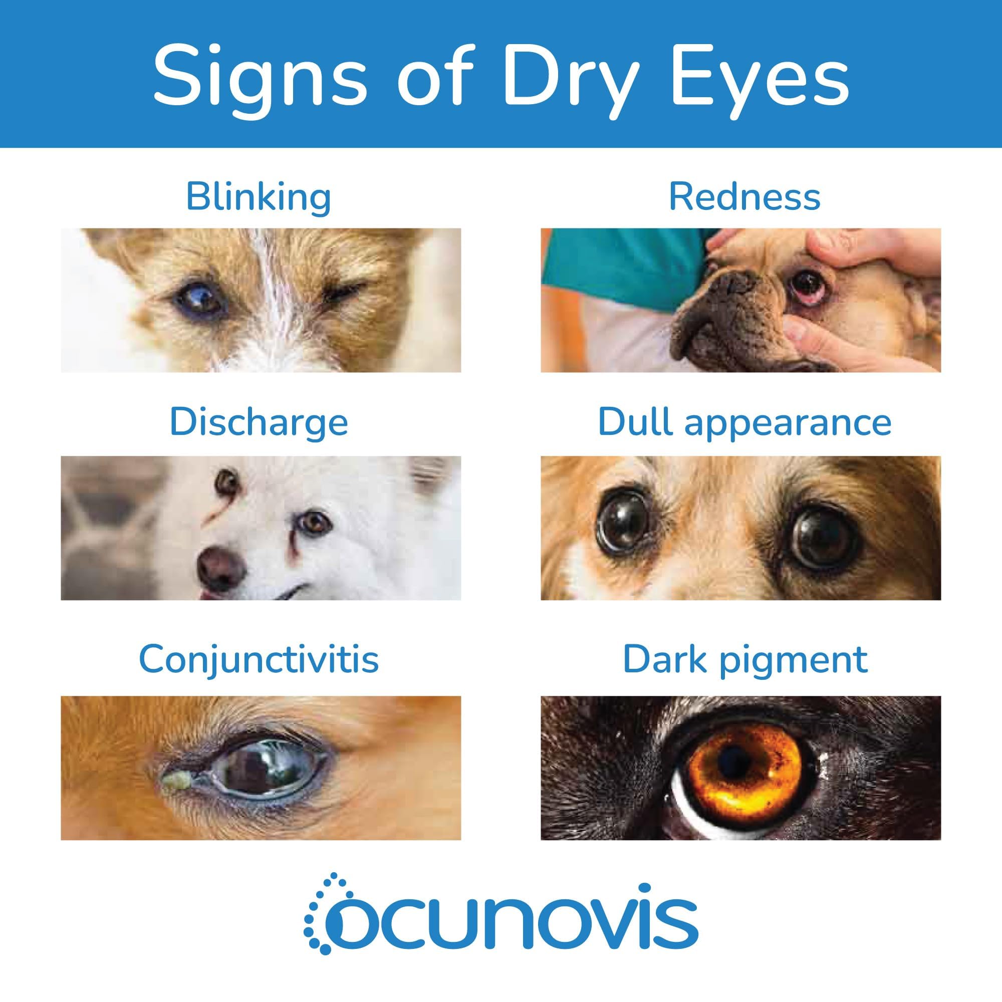 Sentrx Ocunovis pets eye care visual illustrates daily home use