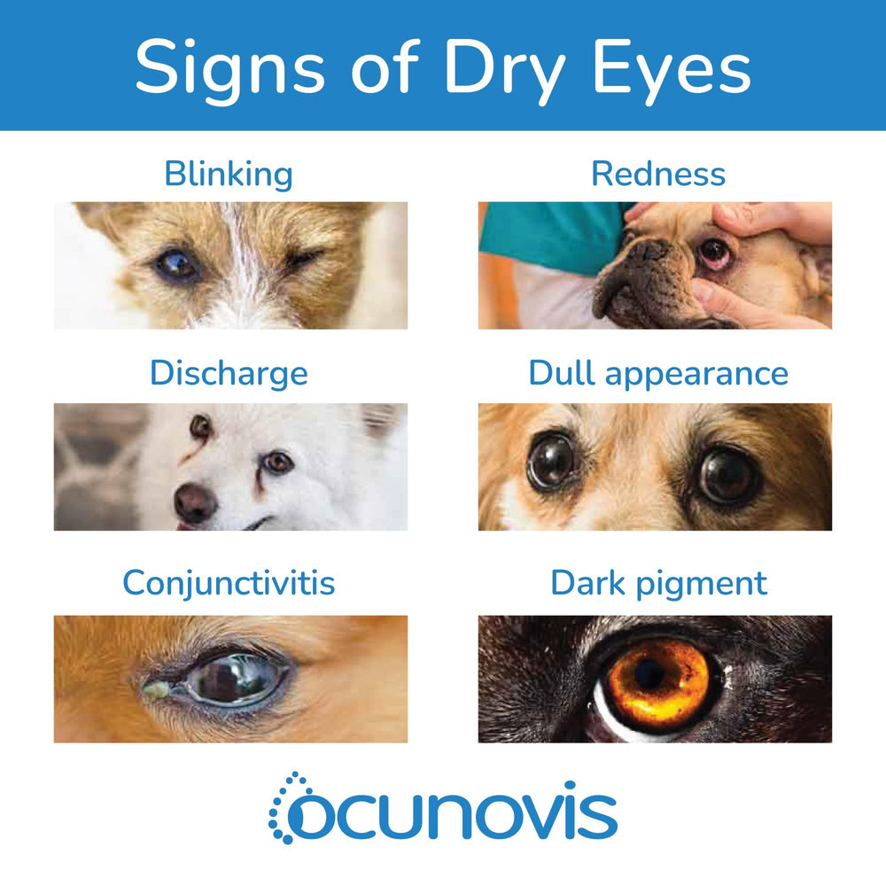 Sentrx Ocunovis pets eye care visual illustrates daily home use