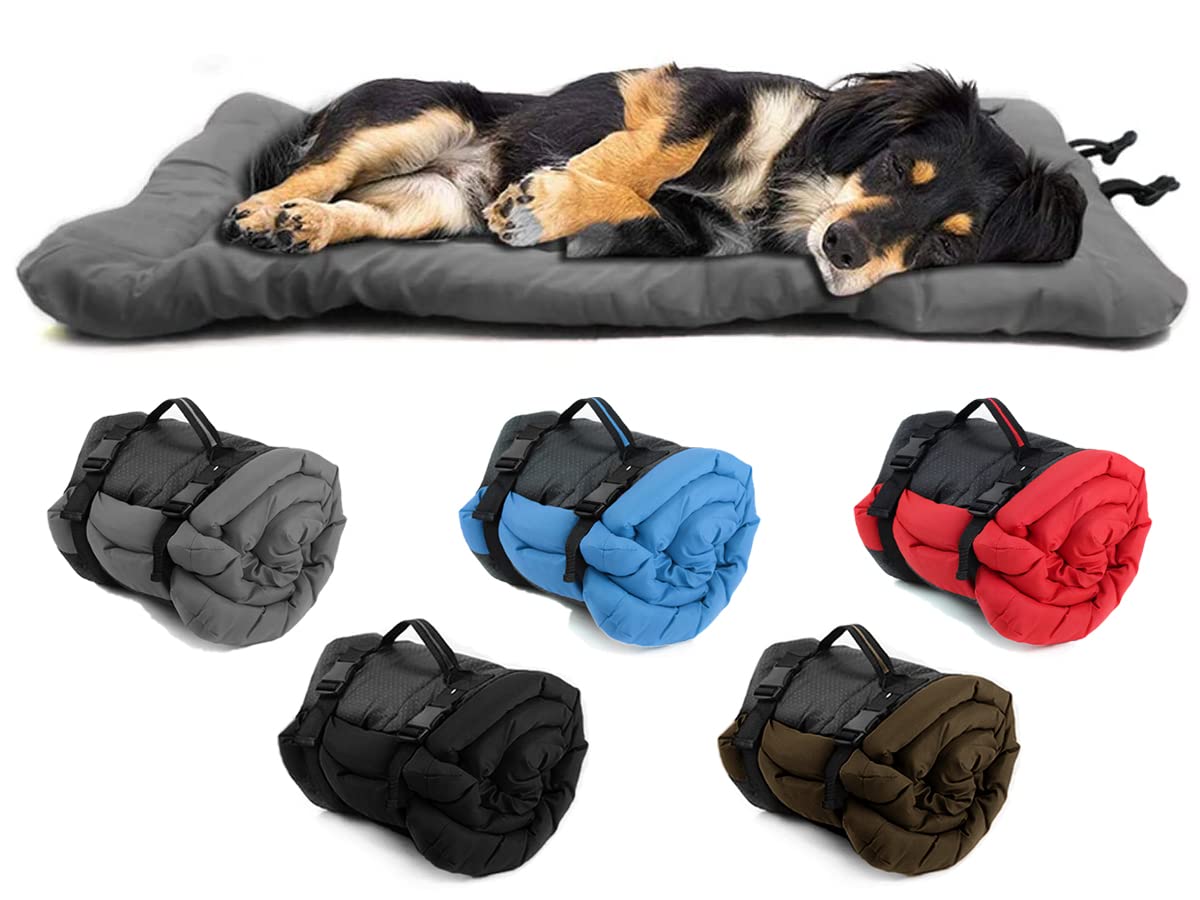 Senzkon outdoor dog bed 35x24 folded for travel, lightweight and portable.