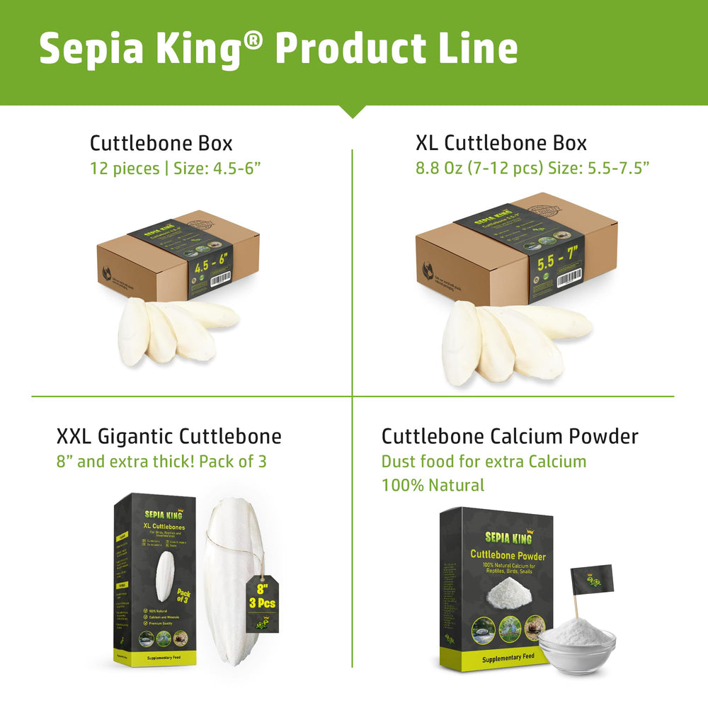 Sepia King cuttlebone used in reptile diets as natural calcium source.